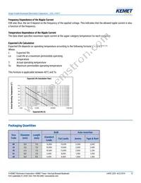ESS106M063AE2EA Datasheet Page 12