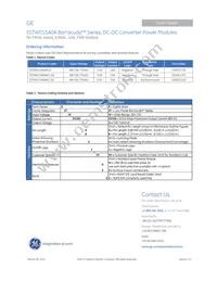 ESTW015A0A41-SZ Datasheet Page 19