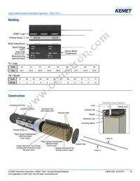 ESW108M063AM3AA Datasheet Page 18