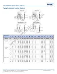 ESW108M063AM3AA Datasheet Page 19