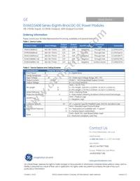 EVW010A0B641Z Datasheet Page 22