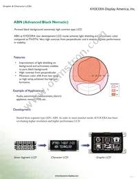 F-55471GNFQJ-LG-AFN Datasheet Page 3