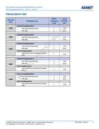 F115PL104J050V Datasheet Page 2