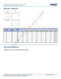 F115PL104J050V Datasheet Page 3