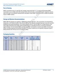 F115PL104J050V Datasheet Page 11