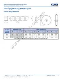 F115PL104J050V Datasheet Page 13