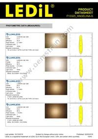 F13325_ANGELINA-S Datasheet Page 19