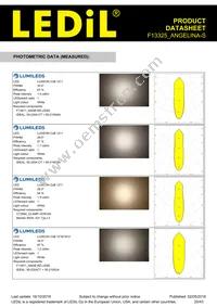 F13325_ANGELINA-S Datasheet Page 20