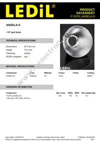 F13379_ANGELA-S Datasheet Cover