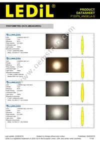 F13379_ANGELA-S Datasheet Page 17