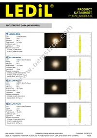 F13379_ANGELA-S Datasheet Page 19