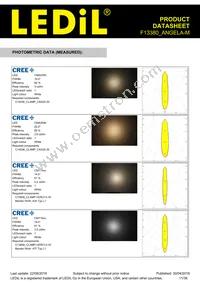 F13380_ANGELA-M Datasheet Page 11