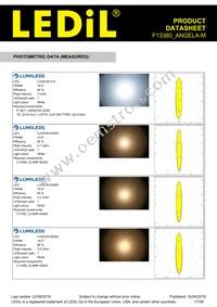 F13380_ANGELA-M Datasheet Page 17