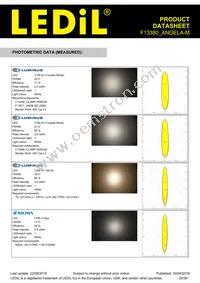 F13380_ANGELA-M Datasheet Page 20