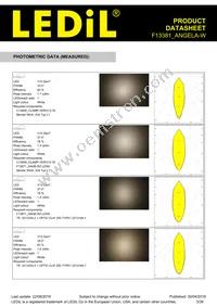 F13381_ANGELA-W Datasheet Page 3