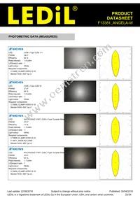 F13381_ANGELA-W Datasheet Page 22