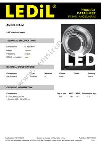 F13401_ANGELINA-M Datasheet Cover
