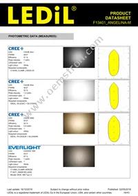 F13401_ANGELINA-M Datasheet Page 16