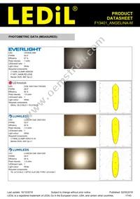 F13401_ANGELINA-M Datasheet Page 17