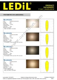 F13401_ANGELINA-M Datasheet Page 18