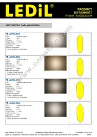 F13401_ANGELINA-M Datasheet Page 20