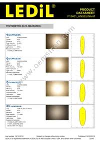 F13401_ANGELINA-M Datasheet Page 22