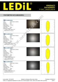 F13401_ANGELINA-M Datasheet Page 23