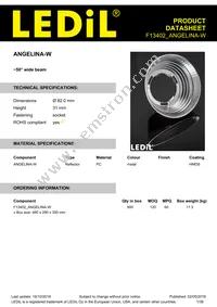 F13402_ANGELINA-W Datasheet Cover