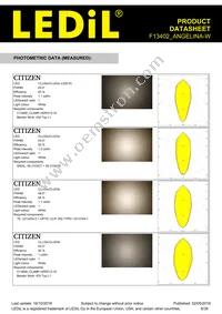 F13402_ANGELINA-W Datasheet Page 8