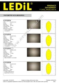 F13402_ANGELINA-W Datasheet Page 9