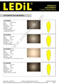 F13402_ANGELINA-W Datasheet Page 10