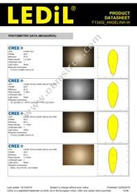 F13402_ANGELINA-W Datasheet Page 13