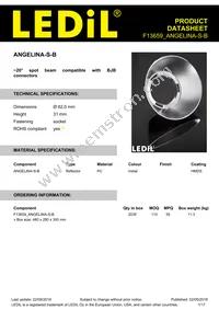 F13659_ANGELINA-S-B Datasheet Cover