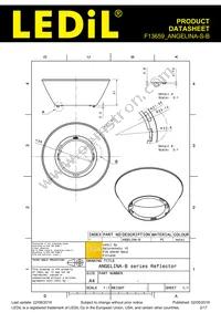 F13659_ANGELINA-S-B Datasheet Page 2