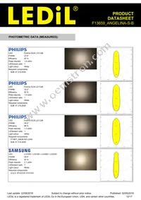 F13659_ANGELINA-S-B Datasheet Page 12