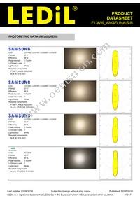 F13659_ANGELINA-S-B Datasheet Page 13