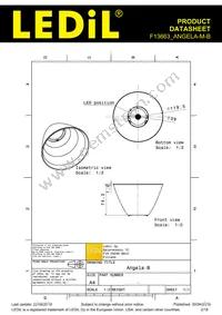 F13663_ANGELA-M-B Datasheet Page 2