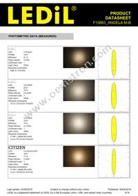 F13663_ANGELA-M-B Datasheet Page 4