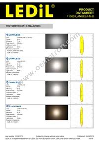 F13663_ANGELA-M-B Datasheet Page 10