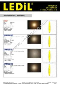 F13663_ANGELA-M-B Datasheet Page 12