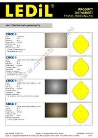 F13838_ANGELINA-XW Datasheet Page 11