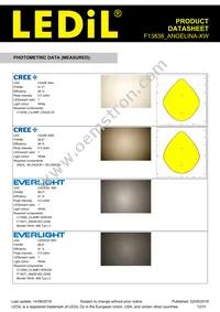 F13838_ANGELINA-XW Datasheet Page 12