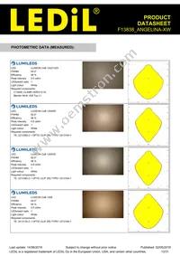 F13838_ANGELINA-XW Datasheet Page 13