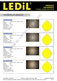 F13839_ANGELINA-XW-B Datasheet Page 12