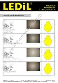 F13840_ANGELA-XW Datasheet Page 3