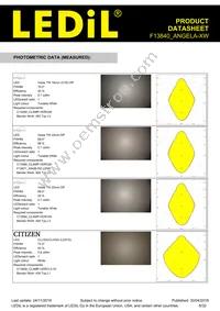 F13840_ANGELA-XW Datasheet Page 6