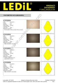 F13840_ANGELA-XW Datasheet Page 9