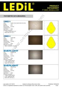 F13840_ANGELA-XW Datasheet Page 12