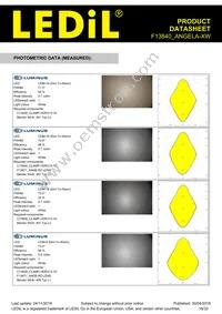 F13840_ANGELA-XW Datasheet Page 16