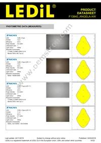 F13840_ANGELA-XW Datasheet Page 19